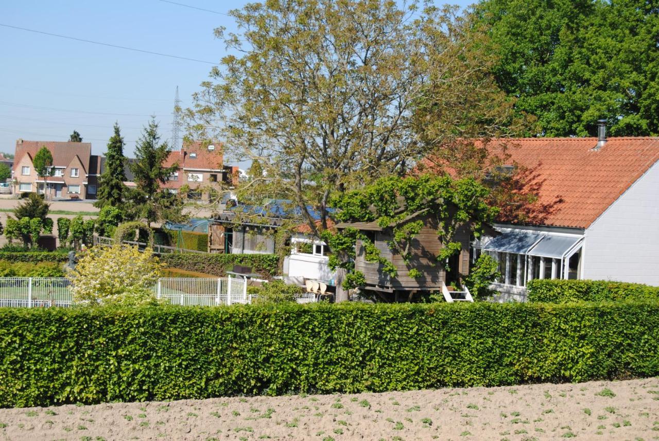 tende Deerlijk Exterior foto